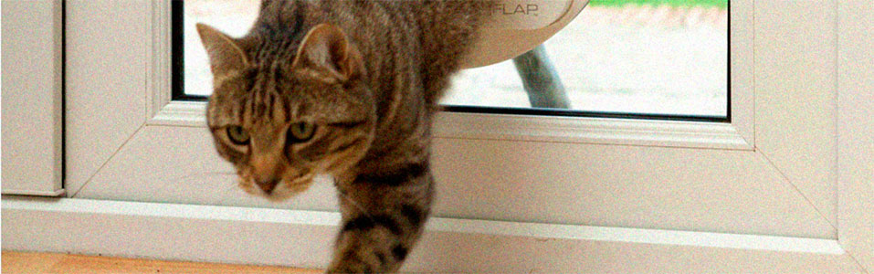 cat flaps for upvc doors argos