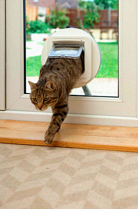 cat flap fitting near me